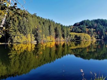 Scenic view of lake by trees against sky