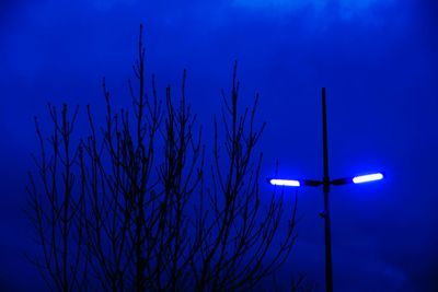Close-up of silhouette bare tree against blue sky