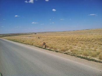 Man walking on road against sky