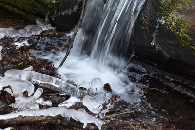 View of waterfall in forest