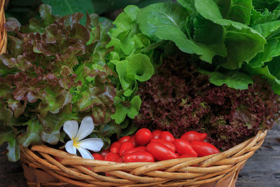 Close-up of vegetables