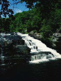 Scenic view of waterfall in forest