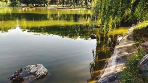 Scenic view of lake