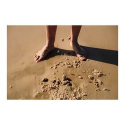 Low section of people on beach