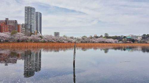 Reflection of city on water