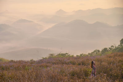 Panorama of beautiful laos landscape from mountain top. adventure or travel concept on sunset