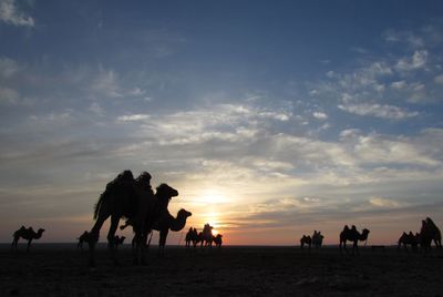 Group of silhouette people on the ground