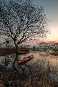 Bare tree by lake against sky during sunset