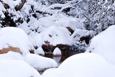 Snow covered landscape