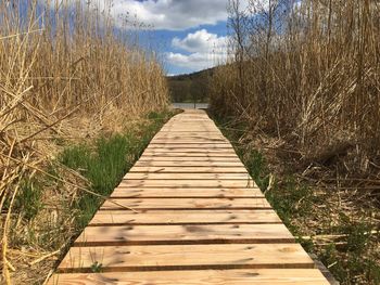 Boardwalk amidst trees against sky