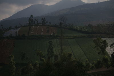 Scenic view of landscape against sky