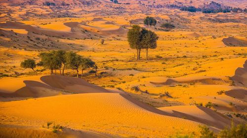 Scenic view of desert during sunset