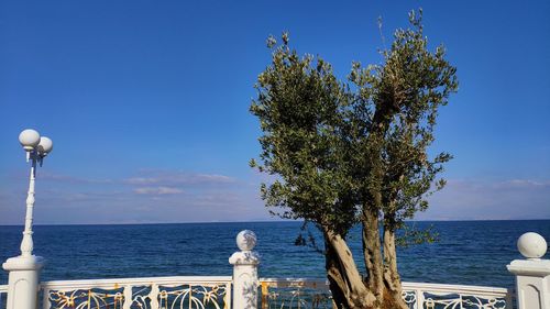 Scenic view of sea against blue sky