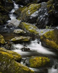 Stream flowing through rocks in forest