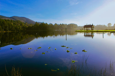 Scenic view of lake against blue sky