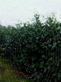 Full frame shot of wet glass window