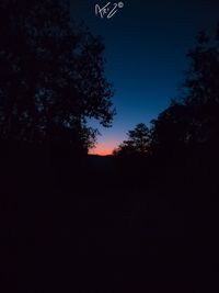 Low angle view of silhouette trees against sky at night