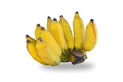 Close-up of bananas against white background