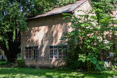 House amidst trees and plants outside building