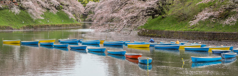 Panoramic view of boats moored on lake by cherry trees in city