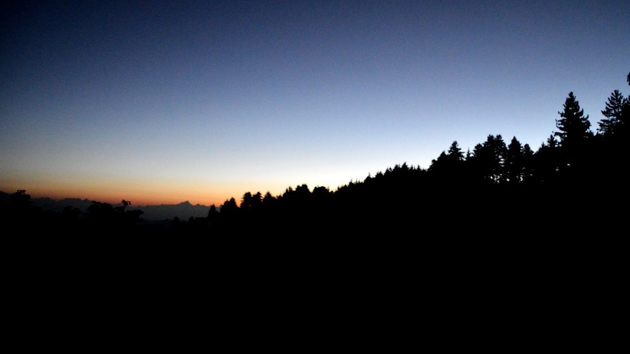 SILHOUETTE TREES ON LANDSCAPE AGAINST CLEAR SKY