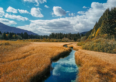 Beautiful stream flowing through golden grassland field