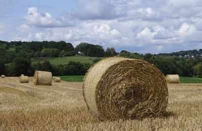 Hay bales on field against sky