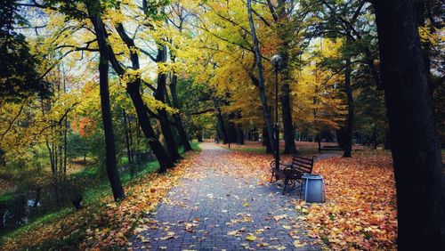 Dirt road amidst trees in park during autumn