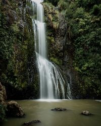 Scenic view of waterfall in forest