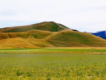 Scenic view of field against sky