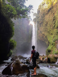 Rear view of man standing by waterfall