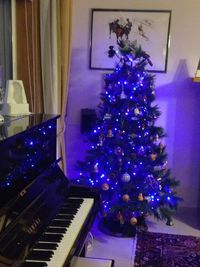 Low angle view of illuminated flowers
