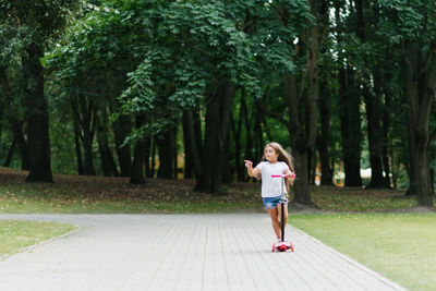 Active little child girl riding scooter on road in park outdoors on summer day