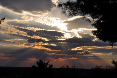 Silhouette of trees against cloudy sky