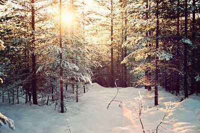 Sun shining through clouds over snow covered landscape