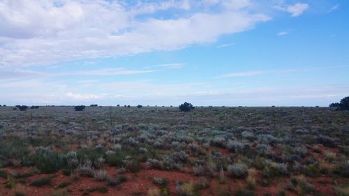 Scenic view of land against sky