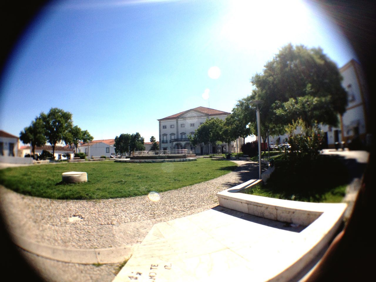 building exterior, tree, architecture, built structure, sky, sunlight, grass, lawn, growth, house, city, plant, day, blue, green color, park - man made space, outdoors, nature, no people, shadow