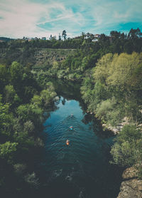 High angle view of river amidst trees against sky