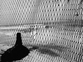 Shadow of bird on chainlink fence