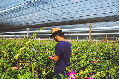 Man working in farm