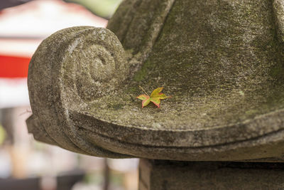 Close-up of stone cross on rock