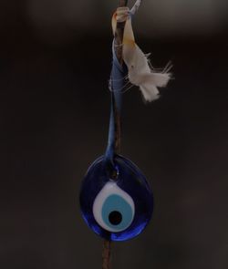 Close-up of hanging light against black background