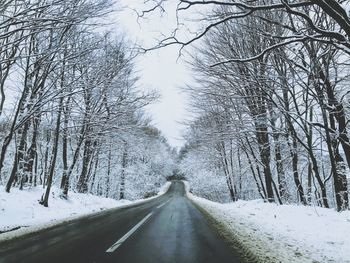 Road amidst bare trees during winter