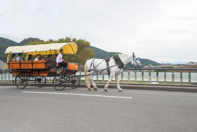 People riding horse cart on street
