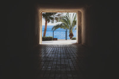 Palm trees at beach seen through tunnel