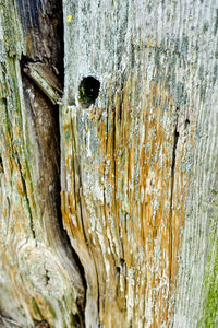 Close-up of wooden door