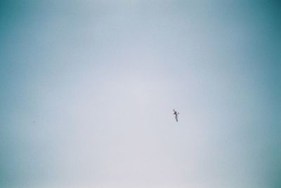 Low angle view of airplane flying in sky