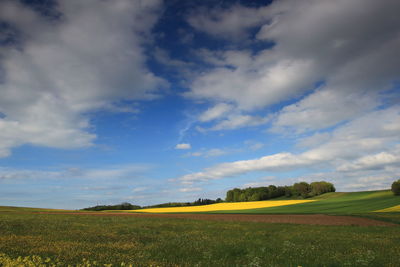 Scenic view of field against sky