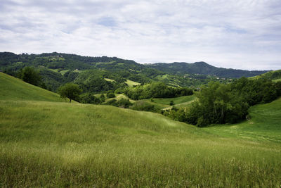 Scenic view of landscape against sky