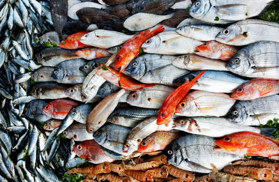 Full frame shot of various fish for sale at market